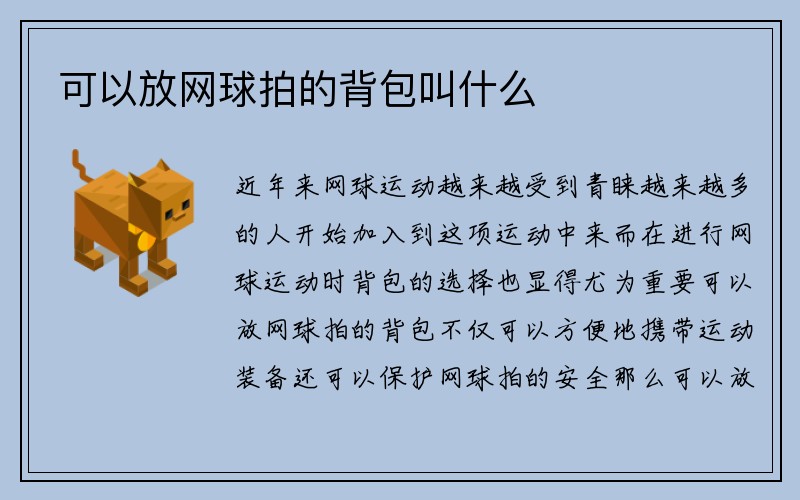 可以放网球拍的背包叫什么