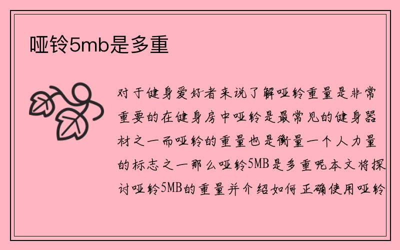 哑铃5mb是多重