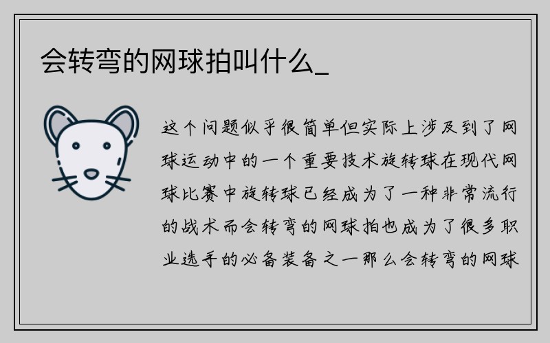 会转弯的网球拍叫什么_