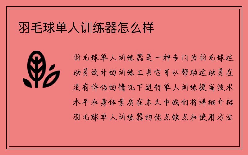 羽毛球单人训练器怎么样