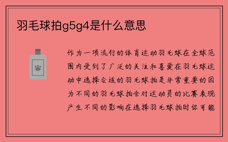 羽毛球拍g5g4是什么意思